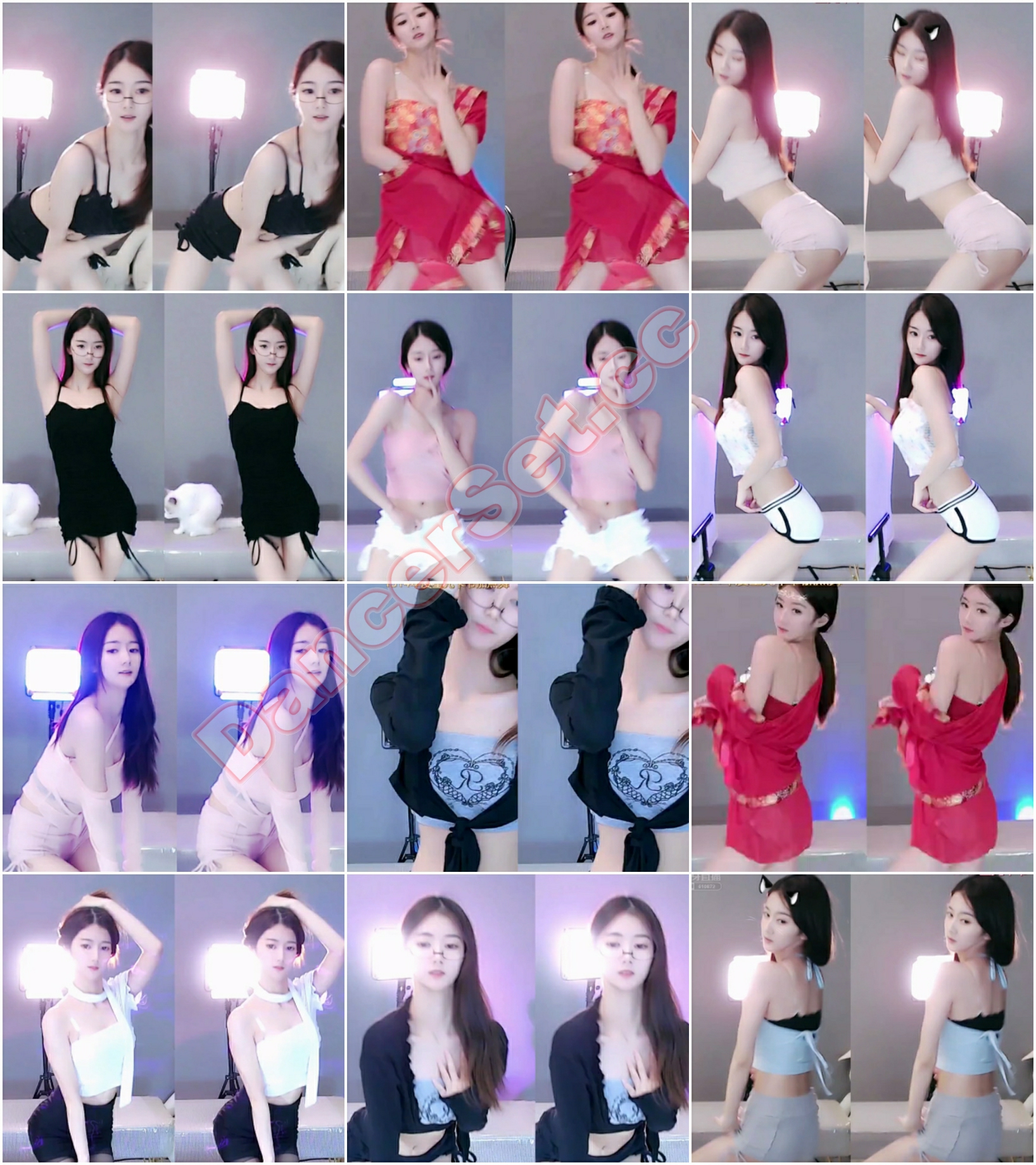 嘉映小奶糕 21年11月.jpg
